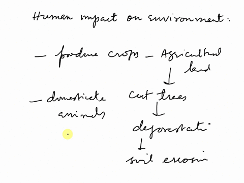 explain-how-human-impact-on-the-environment-has-changed-over-time-36297