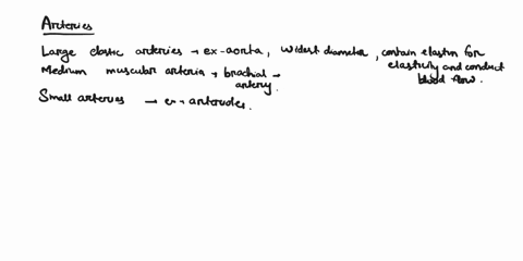 describe-the-following-describe-all-types-of-arteries-and-veins-in-terms-of-diameter-structure-and-their-roles-differentiate-between-blood-pressure-and-blood-flow-briefly-describe-the-4-fact-74058