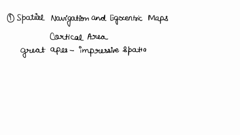 expansion-of-the-parietal-lobe-has-been-associated-with-the-evolution-of-spatial-cognition-which-is-thought-to-consist-of-a-collection-of-different-processes-and-abilities-rather-than-a-gene-29538