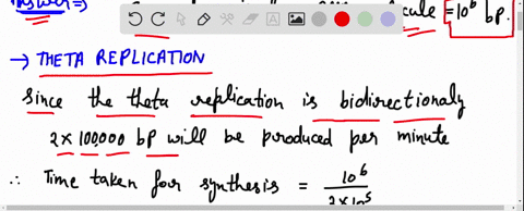 a-circular-molecule-of-dna-contains-1-million-base-pairs-if-the-rate-of-dna-synthesis-at-a-replica-2-62384