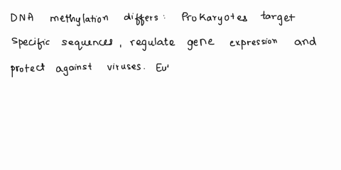 how-is-dna-methylation-different-between-prokaryotes-and-eukaryotes-why-is-dna-methylated-14193