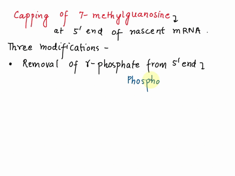 the-5-methyl-guanine-cap-see-figure-below-is-post-transcriptional-modification-that-confers-stability-towards-ribonucleases-tha-catalyze-5-3-hydrolysis-of-the-mrna-transcript-describe-three_-84672