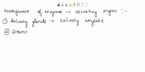 part-c-carbohydrate-protein-and-fat-digestive-enzymes-a-key-objective-in-this-chapter-is-to-identify-the-major-enzymes-in-the-digestion-of-carbohydrates-proteins-and-fats-as-well-as-the-orga-53116