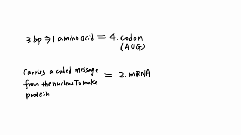 match-the-structure-with-the-correct-definition-question-19-options-three-bases-that-code-for-one-amino-acid-carries-a-coded-message-from-the-nucleus-for-making-a-protein-the-three-nucleotide-bases-on