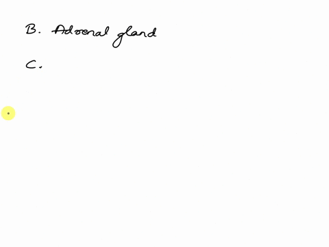 5-which-gland-or-organ-is-not-strictly-classified-only-as-an-endocrine-gland-a-thyroid-gland-b-adrenal-gland-c-pancreas-d-pituitary-gland-6-which-of-the-following-statements-concerning-norma-30517