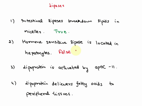 which-statements-about-lipases-isare-true-1-intestinal-lipases-break-down-lipids-in-micelles-found-in-the-small-intestine-2-hormone-sensitive-lipase-is-located-primarily-in-hepatocytes_-3-li-66252