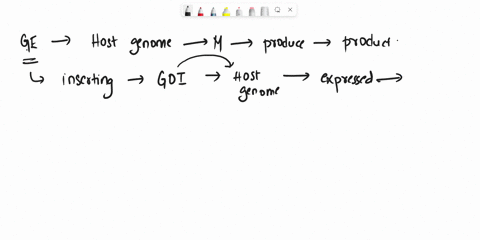 name-one-human-hormone-that-is-produced-by-genetically-modified-bacteria-66008