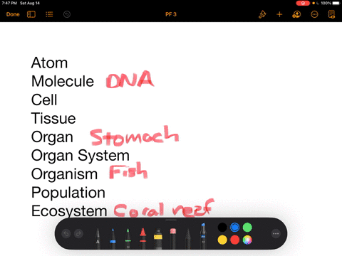 draw-it-with-rough-sketches-draw-a-biological-hierarchy-similar-to-the-one-in-figure-13-but-using-a-coral-reef-as-the-ecosystem-a-fish-as-the-organism-its-stomach-as-the-organ-and-dna-as-the-molecul-3