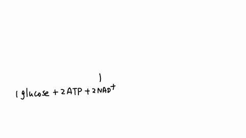 the-inputs-of-glycolysis-are-mark-all-that-apply-04atp-2-nad-2-nad-and-2-fad-oxygen-2-atp-glucose-question-9-1-pts-the-outputs-of-glycolysis-are-mark-all-that-apply-electrons-2-nadh-4-atp-ne-46823