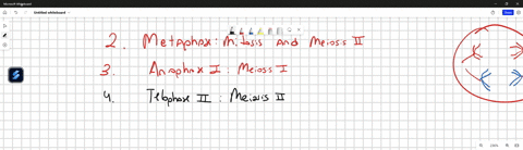 read-each-of-the-statements-below-and-then-on-the-line-provided-write-down-the-phase-of-mitosis-or-meiosis-that-the-action-occurs_-ifthe-action-occurs-during-both-processes-write-both-and-wh-38877