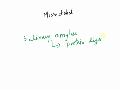 question-14-05p-which-of-the-following-components-of-saliva-is-mismatched-with-its-function-mucin-lubricant-bicarbonate-neutralizes-acid-salivary-amylase-begins-protein-digestion-iga-prevent-84756