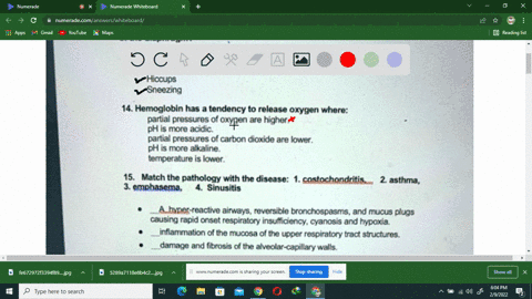 which-of-the-following-non-respiratory-movements-caused-by-iritation-of-the-diaphragm-laughing-crying-coughing-hiccups-sncezing-14-hemoglobin-has-tendency-rolease-oxygen-where-partial-piessu-93505