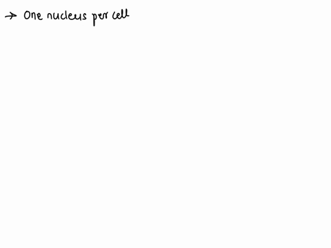 how-many-cells-make-up-the-nucleus-11913