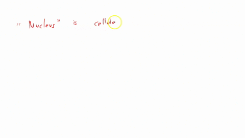 in-which-cellular-compartment-does-transcription-the-synthesis-of-rna-from-a-dna-template-primarily-occur-a-nucleus-b-cytoplasm-c-mitochondria-d-ribosome