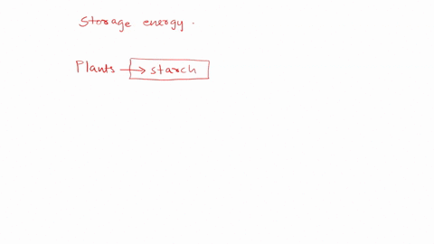 plant-cells-store-energy-in-the-form-of-_______________-and-animal-cells-store-energy-in-the-form-of-56224