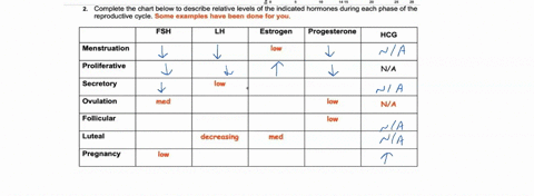 complete-the-chart-below-to-describe-relative-levels-of-the-indicated-hormones-during-each-phase-of-the-reproductive-cycle-some-examples-have-been-done-for-you-fsh-la-estrogen-progesterone-h-28414