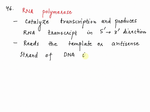 question-4-foints-save-answer-rna-polymerase-produces-an-rna-porymer-3to-53to-5-olreclion-and-reads-the-template-dna-strand-direction-wnicn-5-t0-33to-5-3-t0-55-t0-3-5to-35to-3-qvestion-47-fo-73154