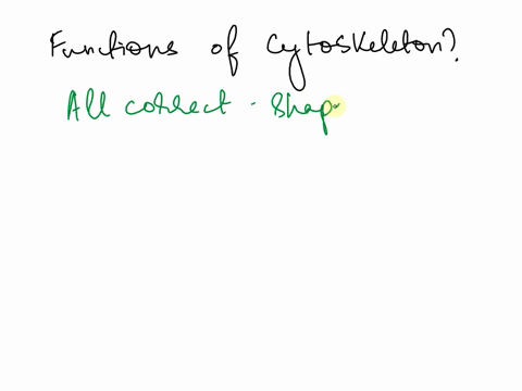 question-2-which-of-the-following-is-a-function-of-the-cytoskeleton-provides-shape-and-structure-provides-organization-promotes-motilitylmovement-aill-of-the-above-are-functions-of-the-cytop-31505