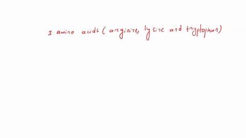 which-amino-acids-side-chain-can-form-hydrogen-bonds-with-asparagines-side-chain-isoleucine-tryptophan-alanine-valine-60097