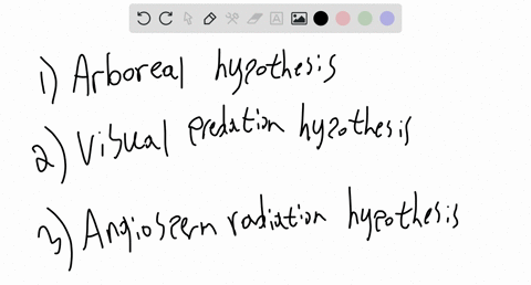 compare-three-major-hypotheses-about-primate-origins-making-reference-to-each-ones-key-ecological-reason-for-primate-uniqueness