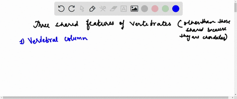 what-are-three-shared-features-of-vertebrates-other-than-those-that-are-shared-because-they-are-chordates-25357