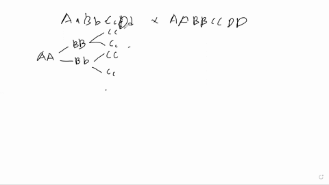 lets-suppose-that-a-cell-is-heterozygous-for-three-different-genes-aa-bb-and-cc-and-that-each-gene-is-on-a-different-chromosome-howmany-different-ways-can-these-three-pairs-of-homologous-chr-08188