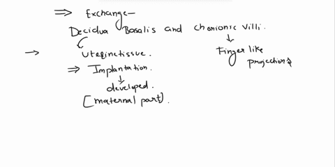 question8-1pts-exchange-of-gasesnutrientsand-wastes-between-maternal-and-fetal-blood-takes-place-between-the-deciduas-basalis-and-fetus-amnion-and-chorion-stratum-basalis-and-deciduas-basali-48343