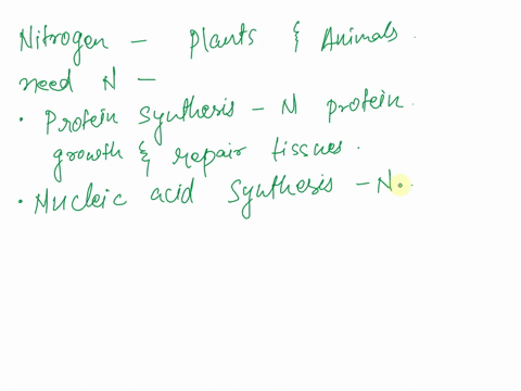 what-do-plants-and-animals-need-nitrogen-for-59547