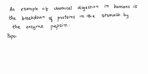 describe-one-example-of-chemical-digestion-in-the-human-where-occurs-the-enzyme-involved-body-including-the-name-of-the-organ-and-the-type-of-molecule-being-digested-esanlsification-isan-imp-64172