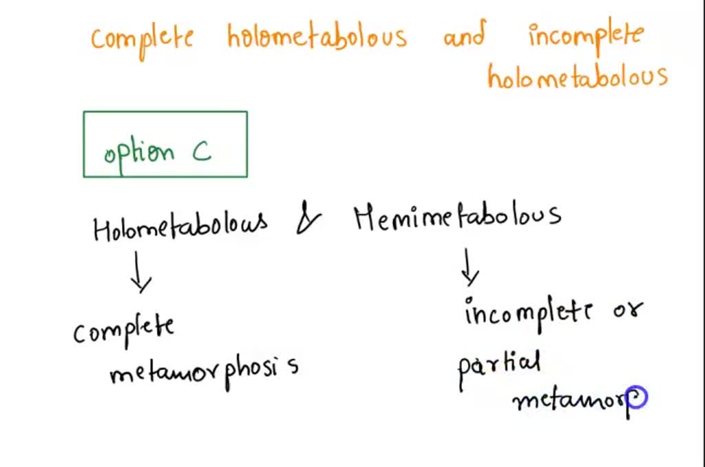 solved-a-key-difference-between-complete-holometabolous-and