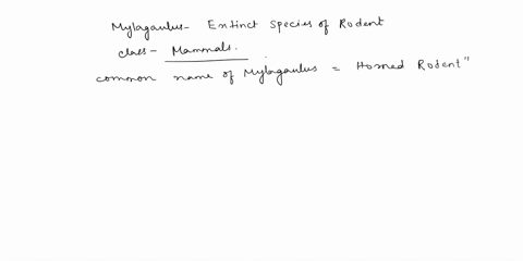 what-is-the-common-name-for-mylagaulus-what-do-they-look-like-63802
