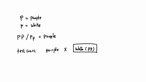 you-do-a-testcross-to-determine-the-genotype-of-a-pea-plant-with-purple-flowers-what-result-shows-that-the-plant-is-homozygous-for-flower-color-a-purple-and-white-offspring-in-a-11-ratio-b-a-03793