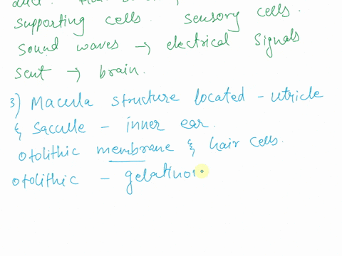 choose-the-structure-that-applies-to-each-statement-more-than-one-structure-may-apply-to-a-statement-and-a-structure-may-be-used-more-than-once-a-basilar-membrane-f-hair-cells-k-spiral-organ-31032