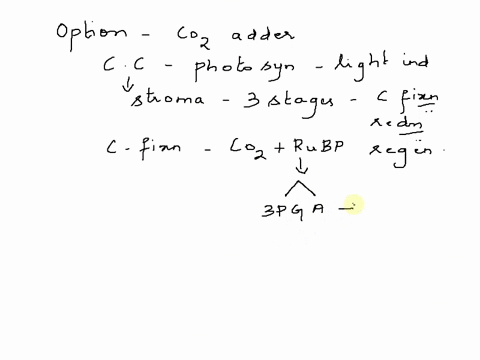 carbon-fixation-involves-the-addition-of-carbon-dioxide-g3p-rubp-3-pga-rubisco-nadph-submit-ptexlous-alsweg-requeslansher-incorrect-try-again-one-attempe-remjining-g3p-formed-vhen-nadph-is-o-14378