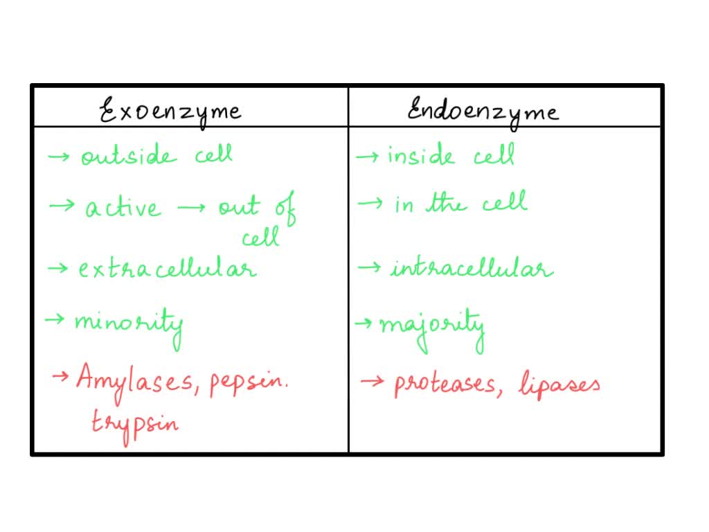 Microbiology: Compare and contrast an intracellular enzyme (endoenzyme) and an extracellular enzyme (exoenzyme). Also, provide an example of a biochemical test that tests for an extracellular enzyme (exoenzyme).
