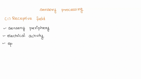 in-terms-of-sensory-processing-the-brain-extracts-key-features-of-sensory-information-that-results-in-discrimination-of-particular-sensations-two-fundamental-and-general-coding-principles-in-52627