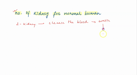 how-many-kidneys-does-a-human-body-have-consider-a-normal-human-being-79786