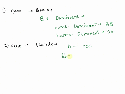 1with-regards-to-hair-color-brown-b-is-dominant-to-blonde-b-a-brown-haired-parent-and-a-blonde-haired-parent-reproduce-and-all-of-their-offspring-have-brown-hair-what-is-the-probable-genotyp-66214