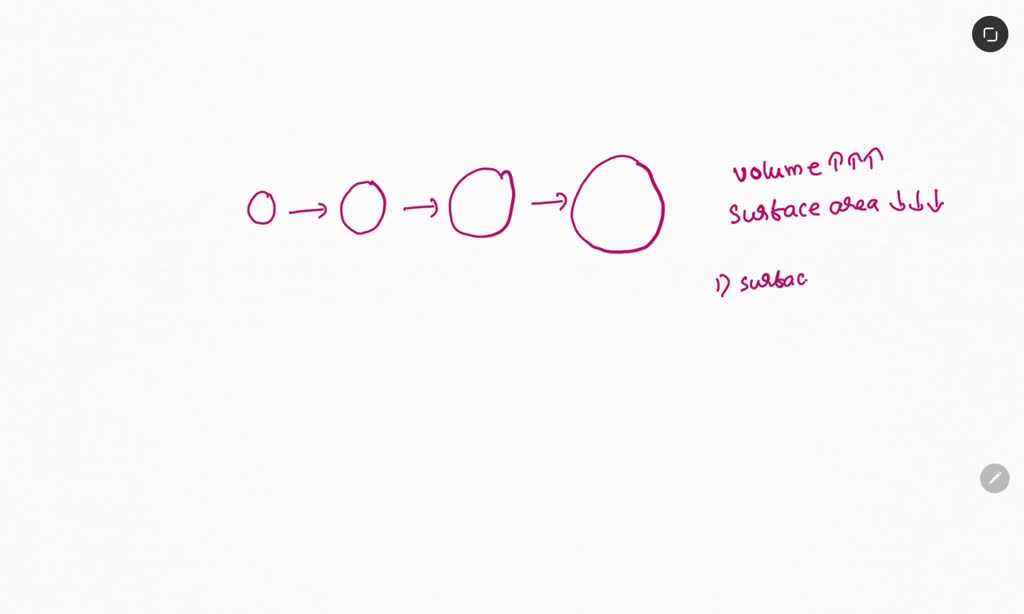 SOLVED How Does Cell Growth Affect The Cell S Surface to volume Ratio