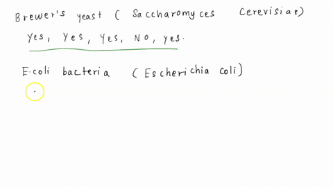 dichotomous-key-works-on-the-principle-of-asking-yes-or-no-questions-about-the-organism-to-identify-it-the-answers-for-that-organism-are-then-compared-to-existing-organisms-to-identify-it-pr-82827