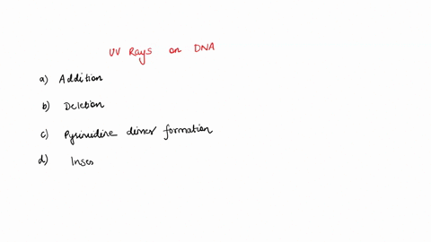 part-a-what-is-the-effect-of-ultraviolet-light-on-dna-frameshift-insertion-frameshift-deletion-formation-of-pyrimidine-dimers-insertion-of-5-bromouracil-submit-prevloug-answera-requeat-antwe-64458