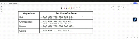 a-chimpanzee-and-rat-b-chimpanzee-and-mouse-c-gorilla-and-rat-d-rat-and-mouse-a-data-table-shows-a-section-of-a-gene-from-four-animals_-gene-sections-from-four-animals-organism-section-of-a-08582