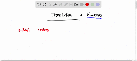 which-molecules-are-involved-in-protein-synthesis-translation-hint-check-all-that-apply-select-all-that-apply-mrna-rrna-trna-ribosome-cytoplasm-sugar-dna-golgi-apparatus-score-0-3-submiit-an-50908