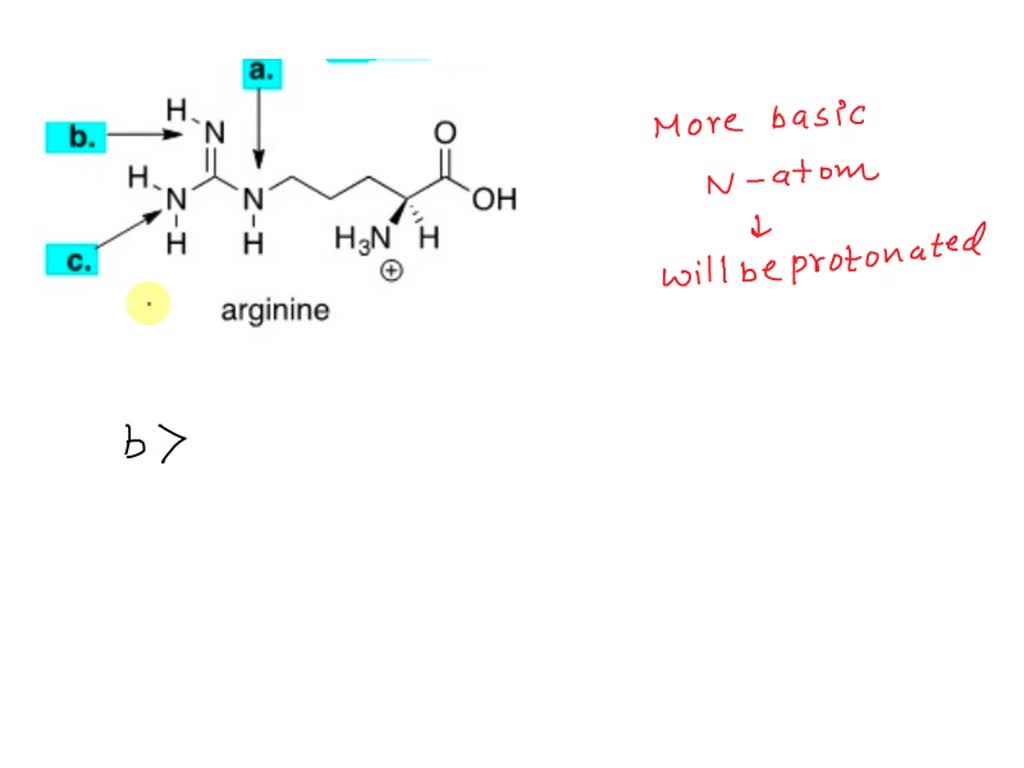 SOLVED At physiological pH, the side chain of the amino acid arginine