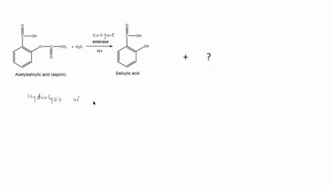1-aspirin-acetylsalicylic-acid-structure-shown-below-is-hydrolyzed-in-the-presence-of-aqueous-acid-and-stomach-esterases-which-are-enzymes-that-act-as-biological-catalysts-to-salicylic-acid-53052