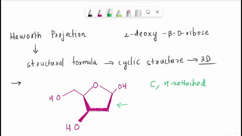 draw-the-haworth-projection-of-2-deoxy-b-d-ribose-39788