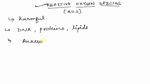 the-enzymes-that-deal-with-toxic-forms-of-oxygen-isare-superoxide-dismutase-and-catalase-superoxide-dismutaseand-cytochrome-oxidase-cytochrome-oxidase-and-glycolase-catalase-and-cytochrome-o-49075