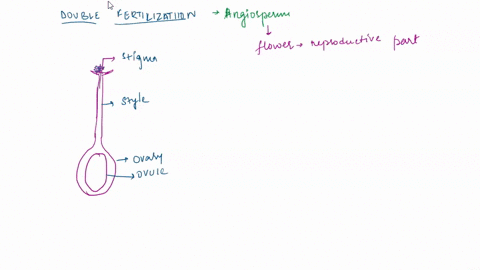 353-8-questions-for-further-study-and-inquiry-what-is-meant-by-double-fertilization-what-features-of-seeds-and-fruits-have-enabled-angiosperms-to-become-so-widespread-what-are-the-similariti-30204