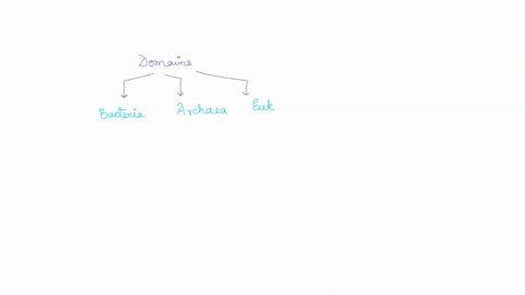 which-of-the-following-is-not-a-domain-of-life-a-bacteria-b-archaea-c-protists-d-eukarya-2-18692