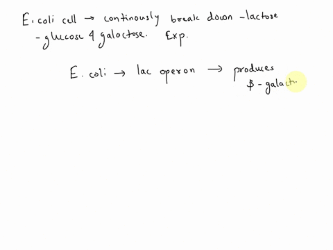 a-particular-e-coli-cell-contains-a-lac-operon-that-continuously-breaks-down-lactose-into-glucose-and-galactose-what-could-be-a-possible-explanation-for-this-occurrence-select-one-a-beta-gal-07127